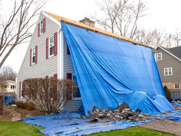 Best Steel Siding Installation  in Pickerington, OH